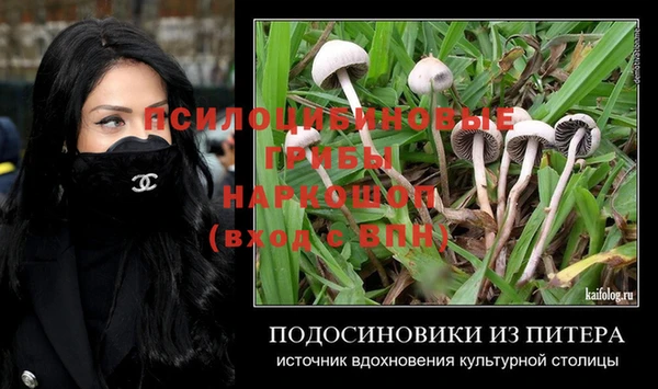 СК Волоколамск