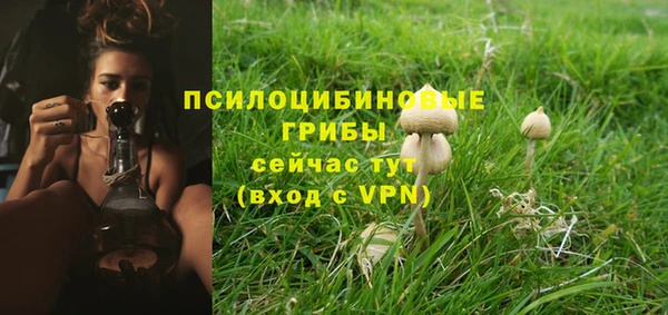 СК Волоколамск