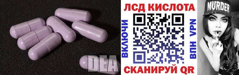 дарнет шоп  Волхов  Лсд 25 экстази ecstasy 